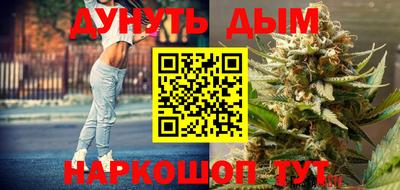 гидра Рязань