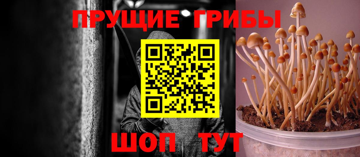 Галлюциногенные грибы ЛСД Сатка