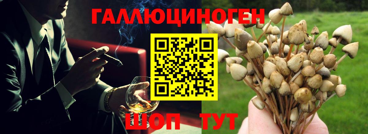 Галлюциногенные грибы MAGIC MUSHROOMS  Вход с VPN  Сатка 
